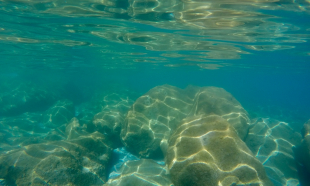 Steine mit Spiegelung an der Wasseroberfläche